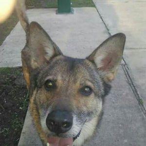 Meet your Posher, Carey